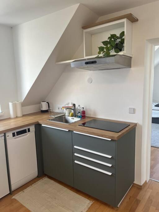 Cozy City Center Apartment Graz Eksteriør billede